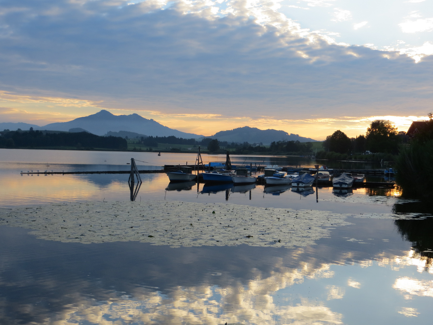 und schon wieder der Hopfensee