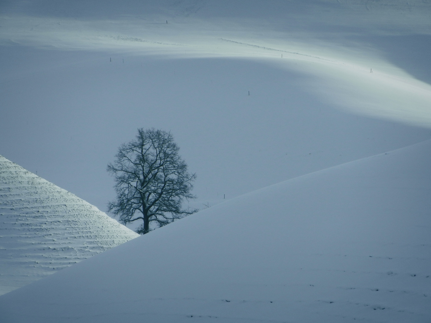 Und schon wieder dieses unglaubliche Licht