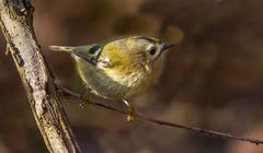 Und schon wieder so Eines