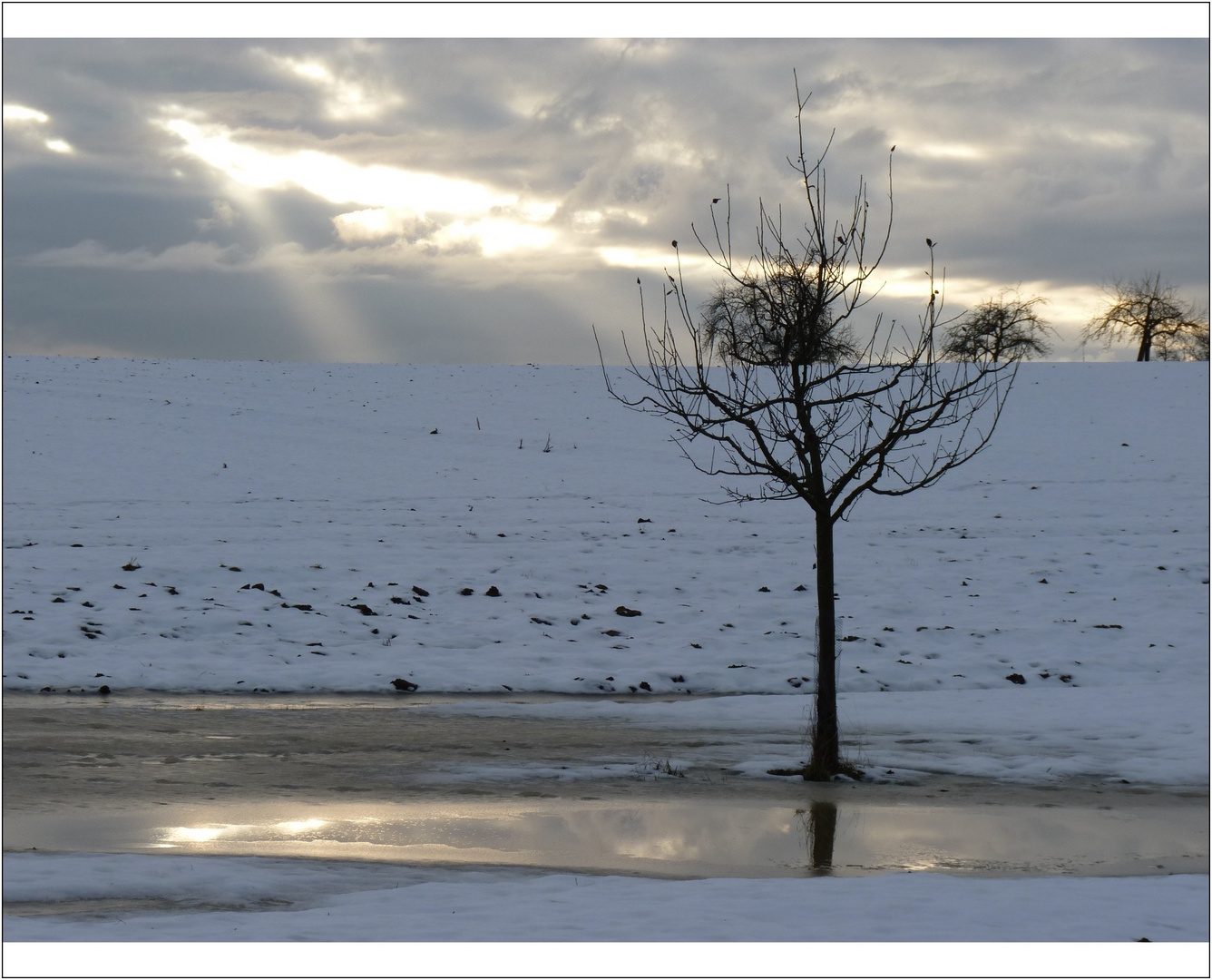 und schon wieder Tristesse