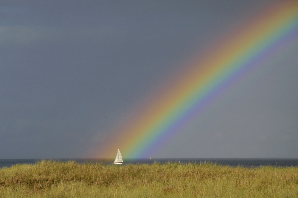 ....... und segelte auf den Farben davon