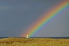 ....... und segelte auf den Farben davon