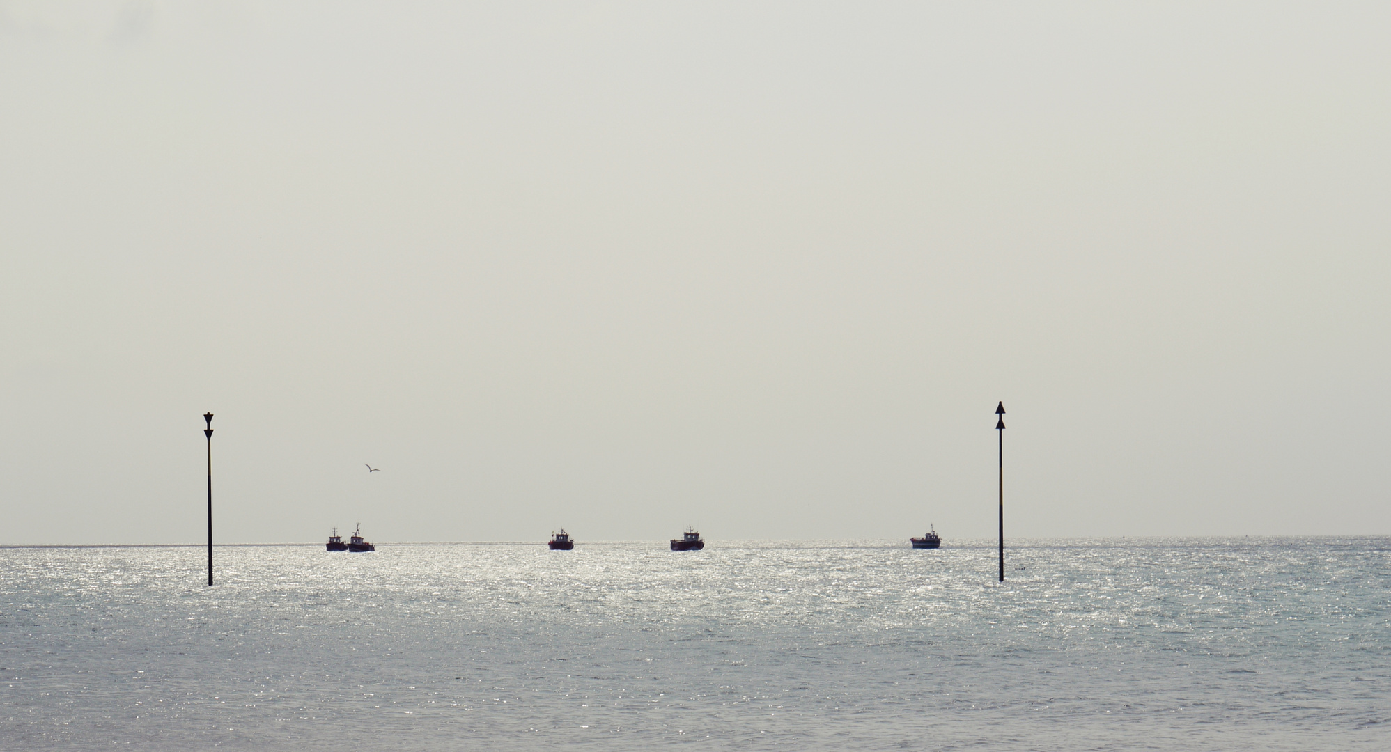 und sie fahren hinaus auf das Meer