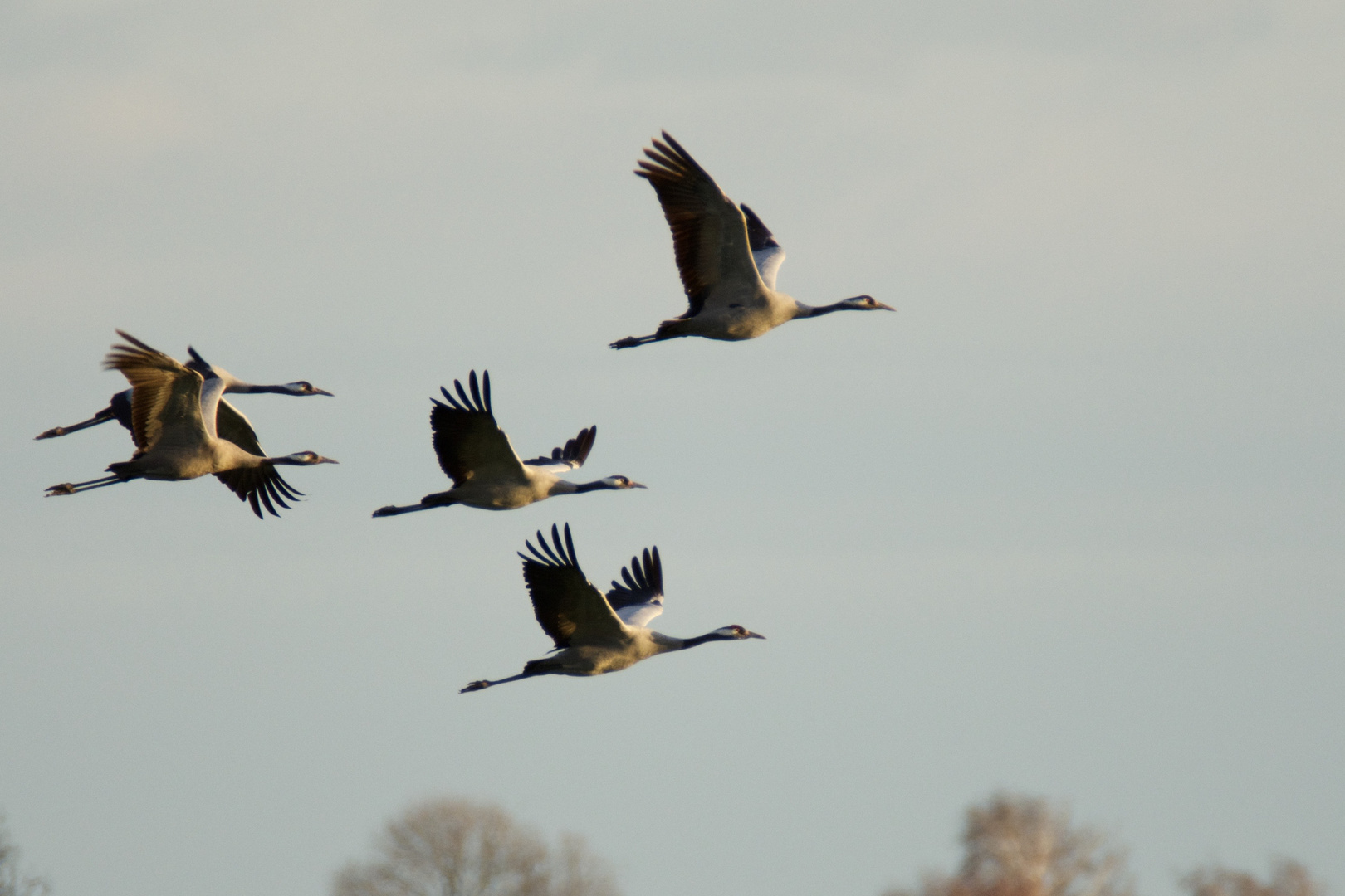 ... und sie fliegen...