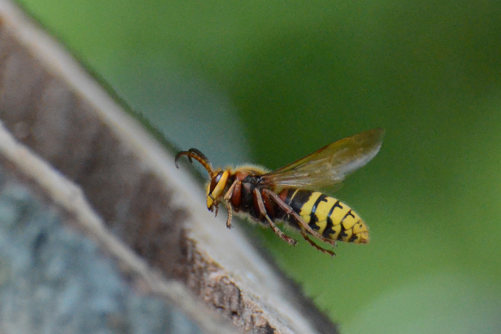 Und sie fliegt DOCH !