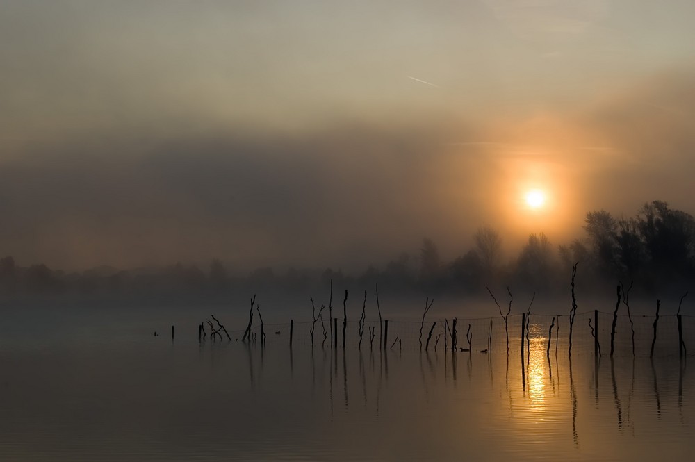 und sie kämpft sich durch den Nebel....