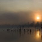 und sie kämpft sich durch den Nebel....