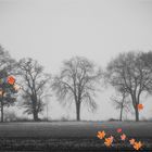 Und sie sagen der Herbst kommt, und das Laub fällt vom Baum