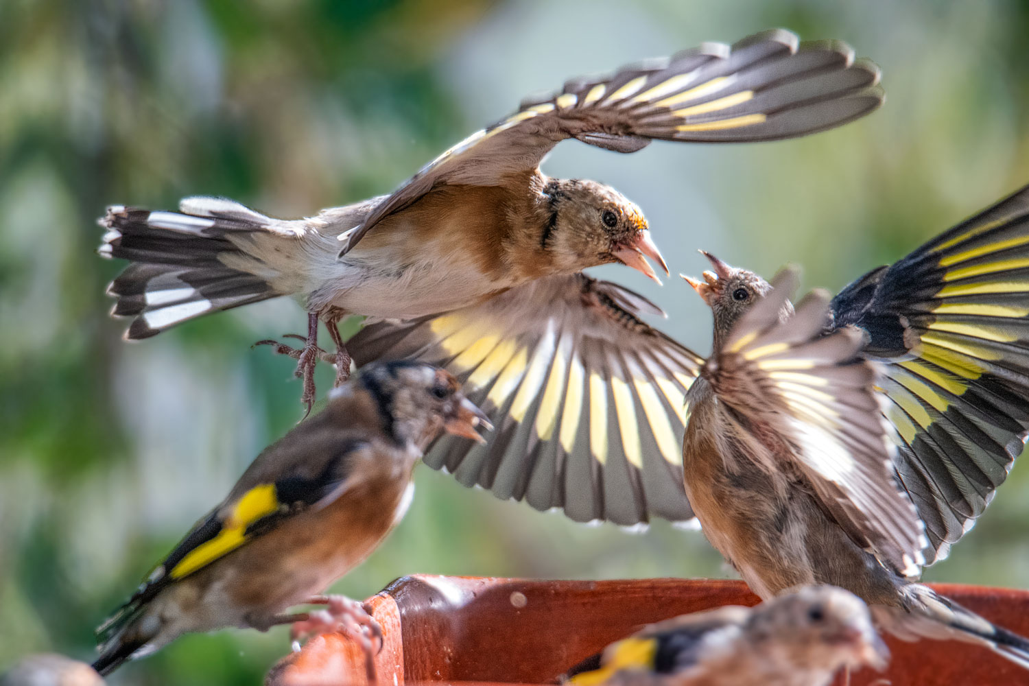 Und sie streiten weiter