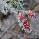 Und sie verzaubert täglich neu - die eiskalte Adventnacht