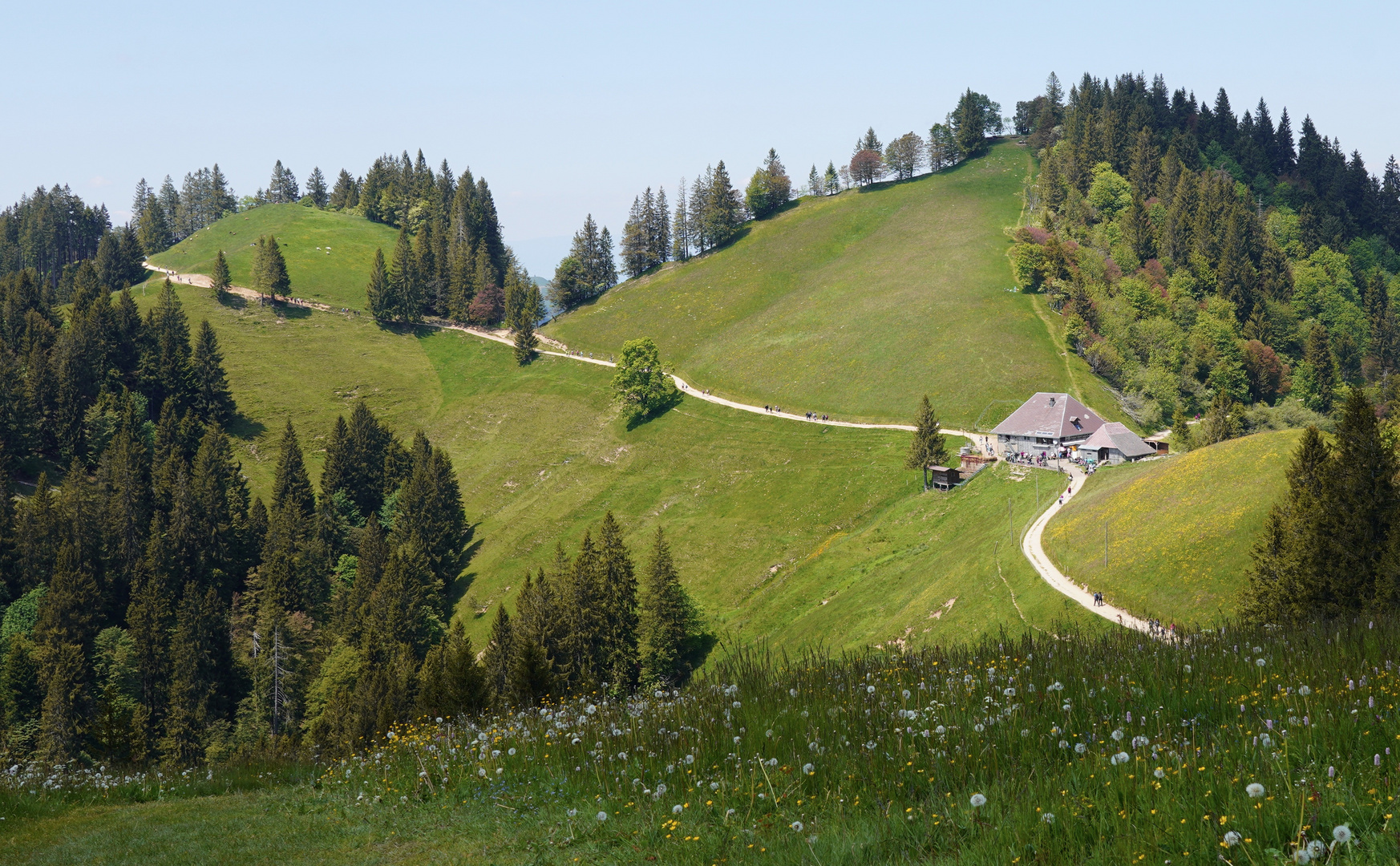 und sie wandern wieder....  (Corona Beschäftigung?)