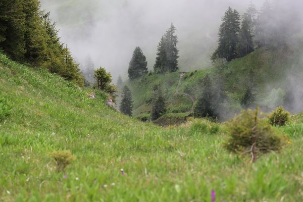 Und so eine tolle Landschaft