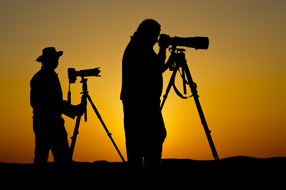 und so sieht es aus, wenn die Gruppe am Abend fotografiert