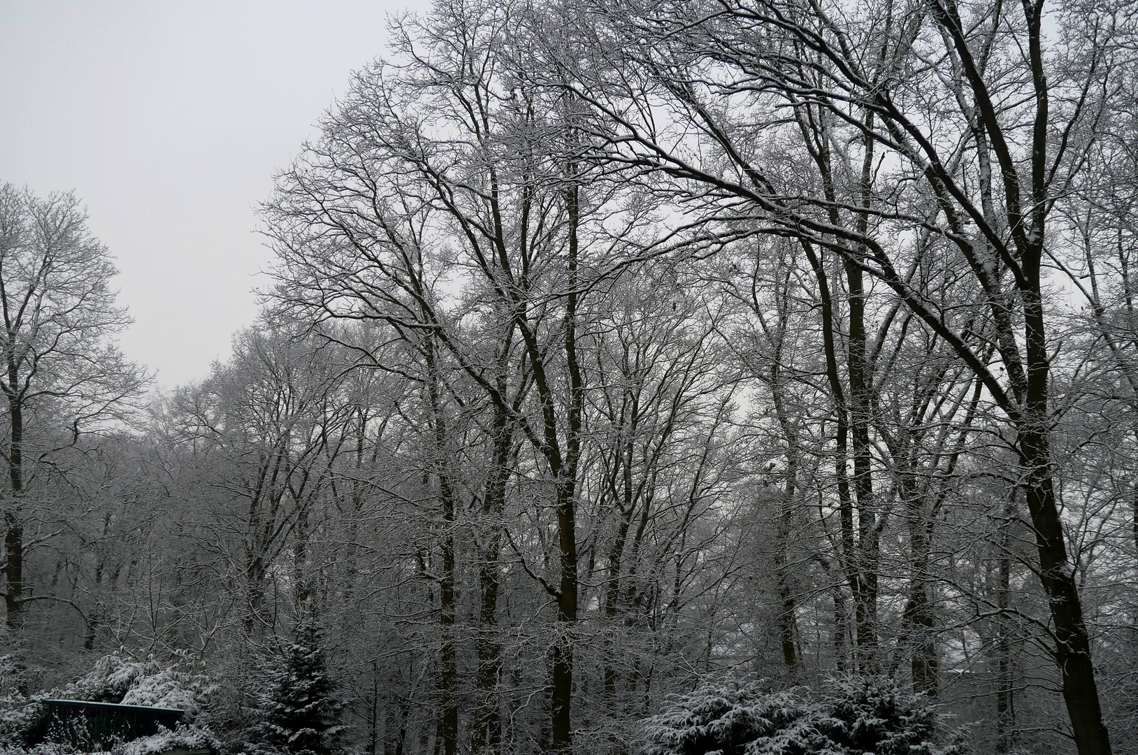 ... und so sieht's heute morgen aus !