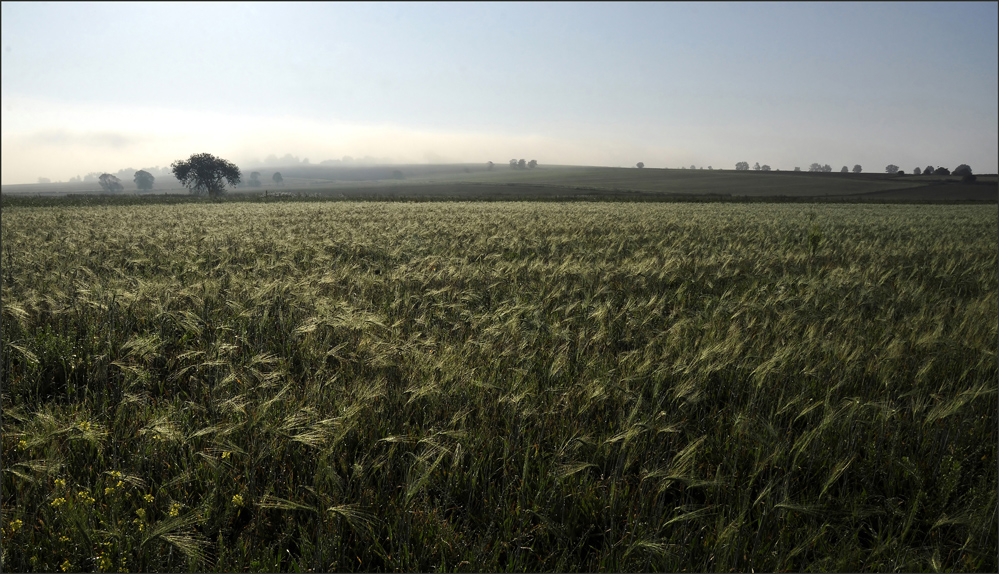 "...und steht im September noch ...