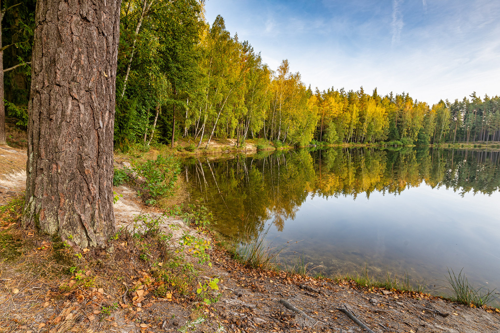 Und still ruht der See - ein Herbstufer