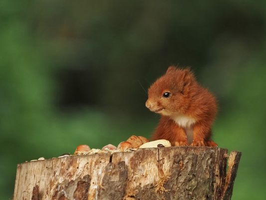 ....und täglich....