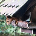 Und täglich grüßt....