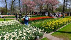 Und täglich grüßt der Keukenhof