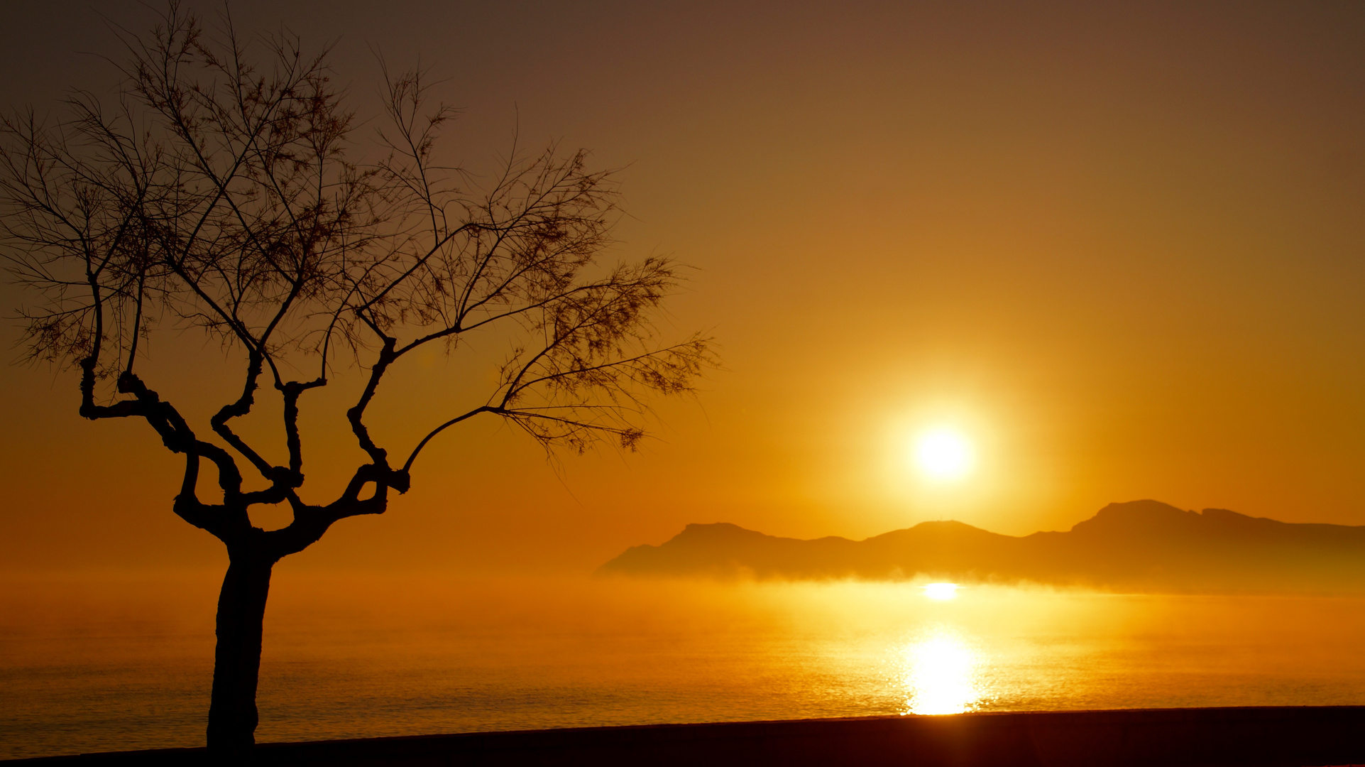 und täglich grüßt der Sonnenaufgang 