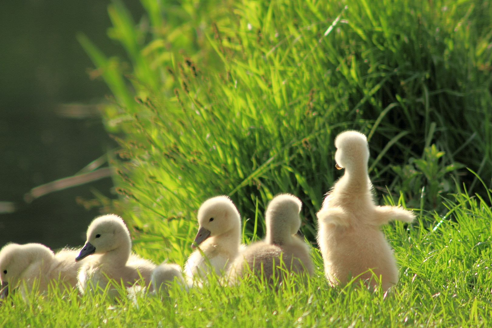 und trocknen und aufwärmen in der Sonne