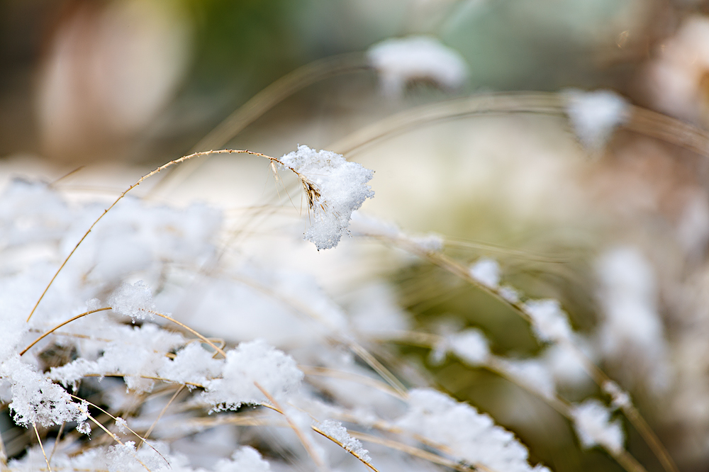 und trotzdem kann man den Frühling schon ganz leicht erahnen