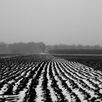 und trotzdem wird der Frühling kommen!