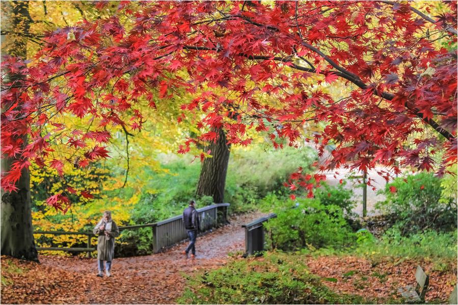 Und Tschüss.....;))