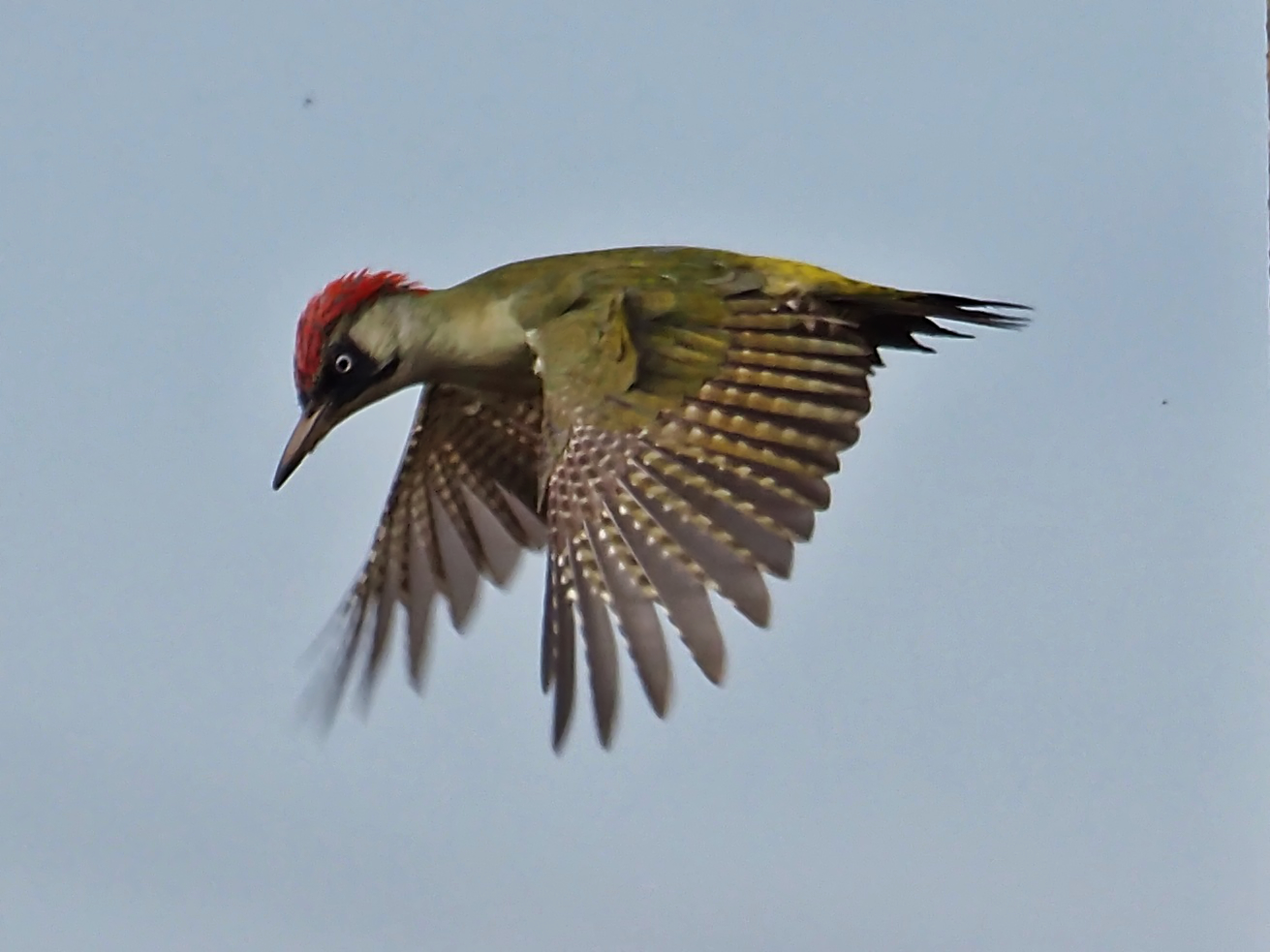 Und tschüss Foto & Bild Bilder auf