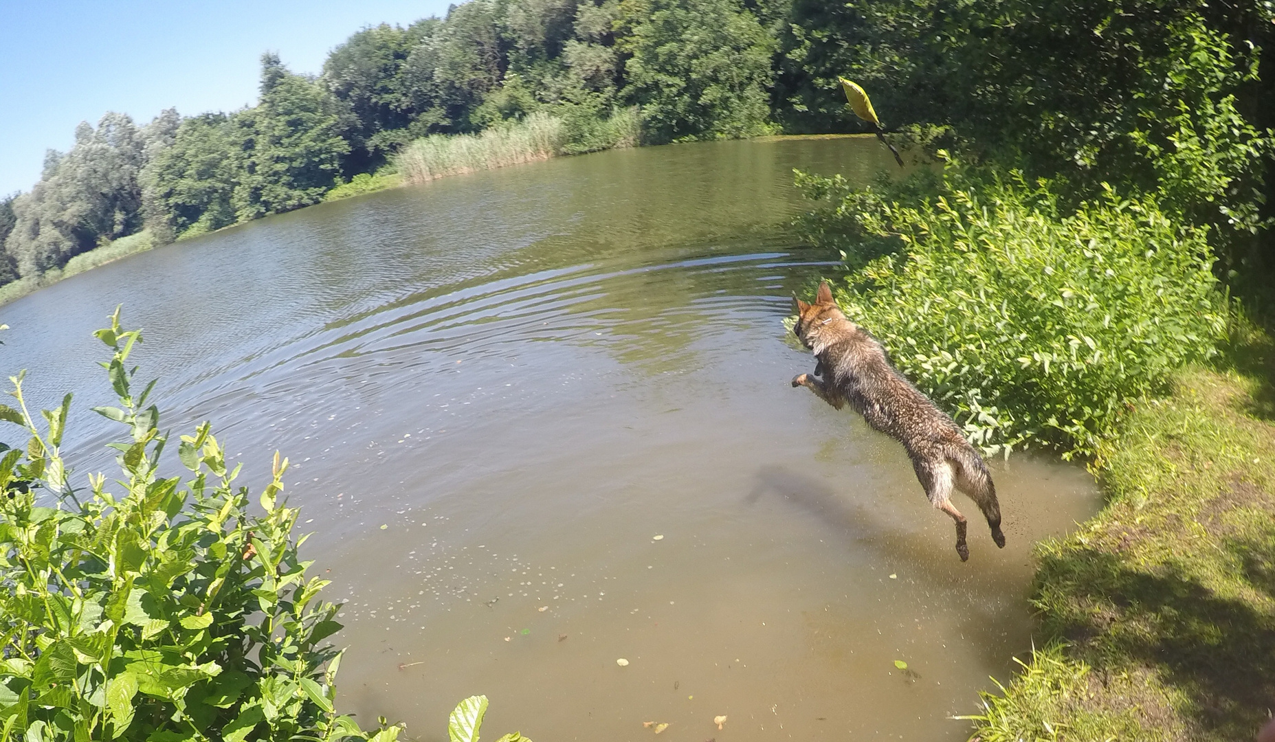 "...und Tschüss" (GoPro-Foto)