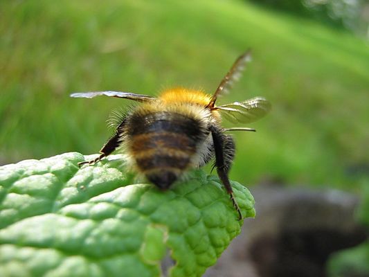 ....und tschüssss....