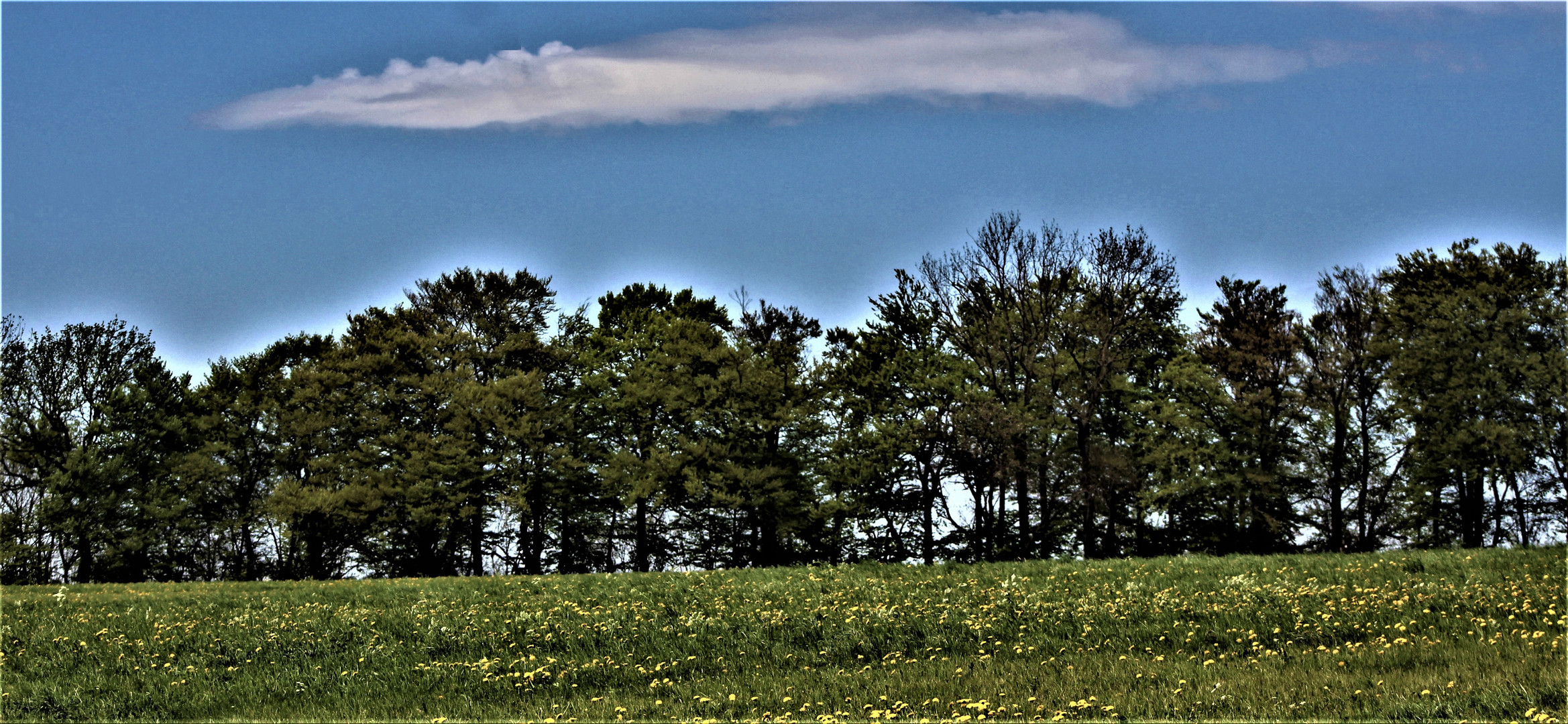 und über der Frühlingslandschaft ,