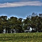 und über der Frühlingslandschaft ,