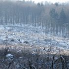 ...und über Nacht gab es wieder etwas Schnee