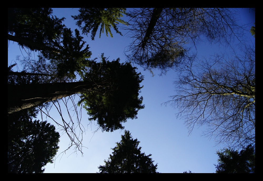 Und über uns der Himmel.