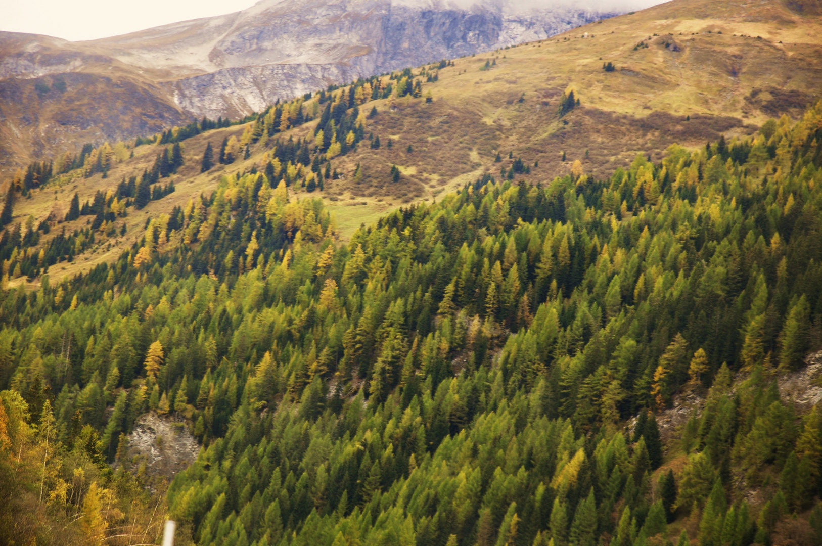 Und überall machte der Herbst sichin seiner ganzen Schönheit breit