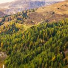 Und überall machte der Herbst sichin seiner ganzen Schönheit breit