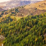 Und überall machte der Herbst sichin seiner ganzen Schönheit breit