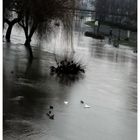 -und Überschwemmung-