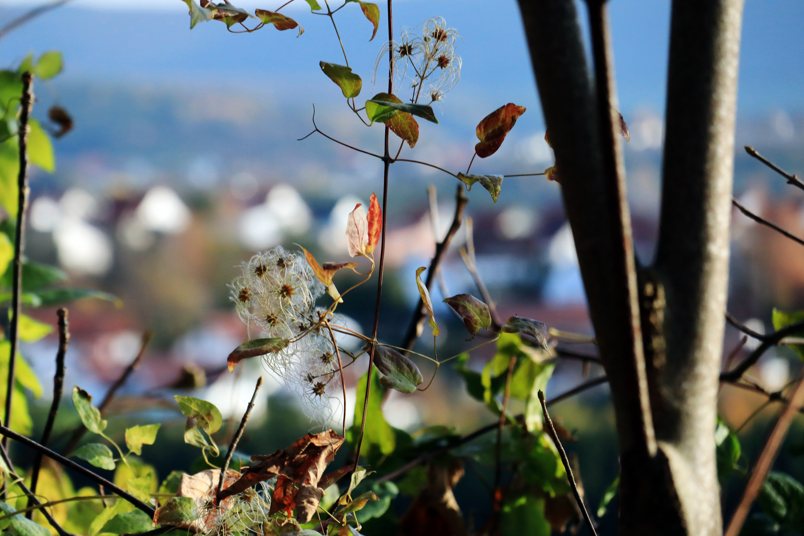 und unten das Dorf