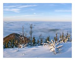 Und unten friert man im Nebel...