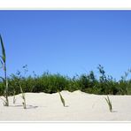 ... und verblutend am elbstrand