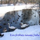 und viel Gesundetheit  wünschen allen FC-lern Nadine, ihr Opa 