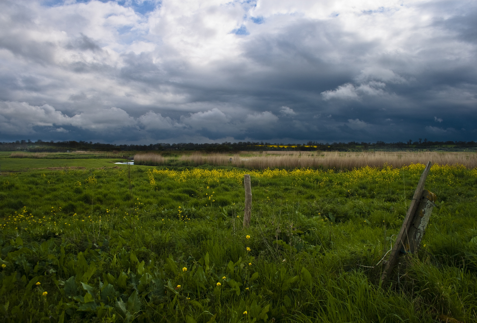 Und von fern droht das Gewitter