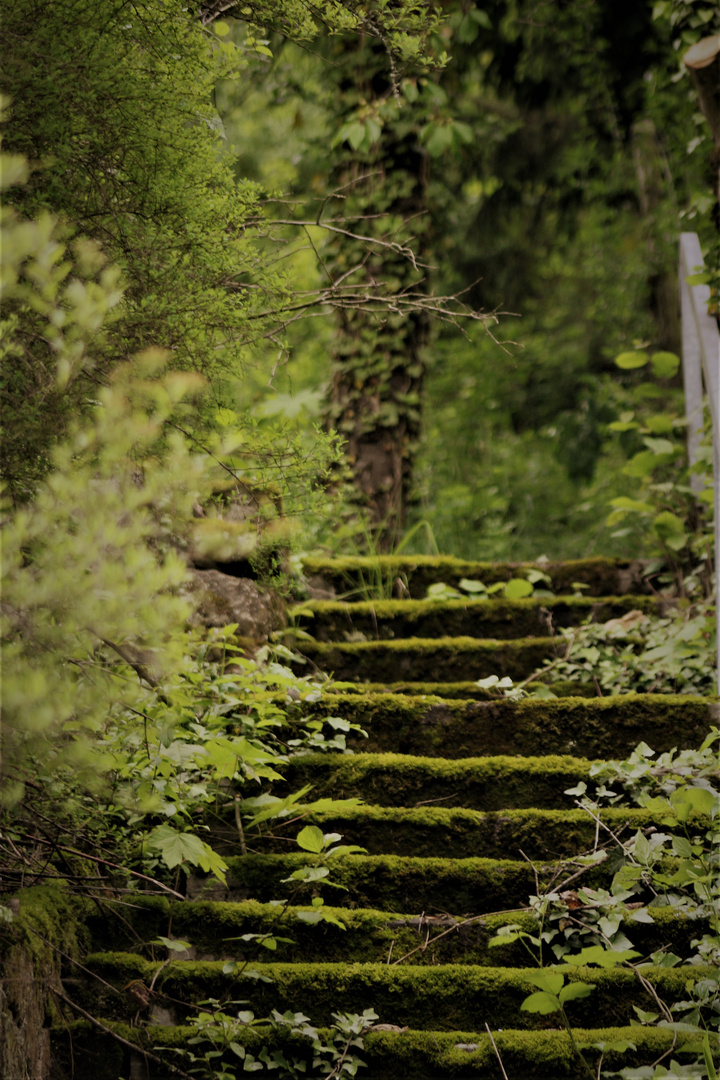 und von uralten Treppen im Verborgenen