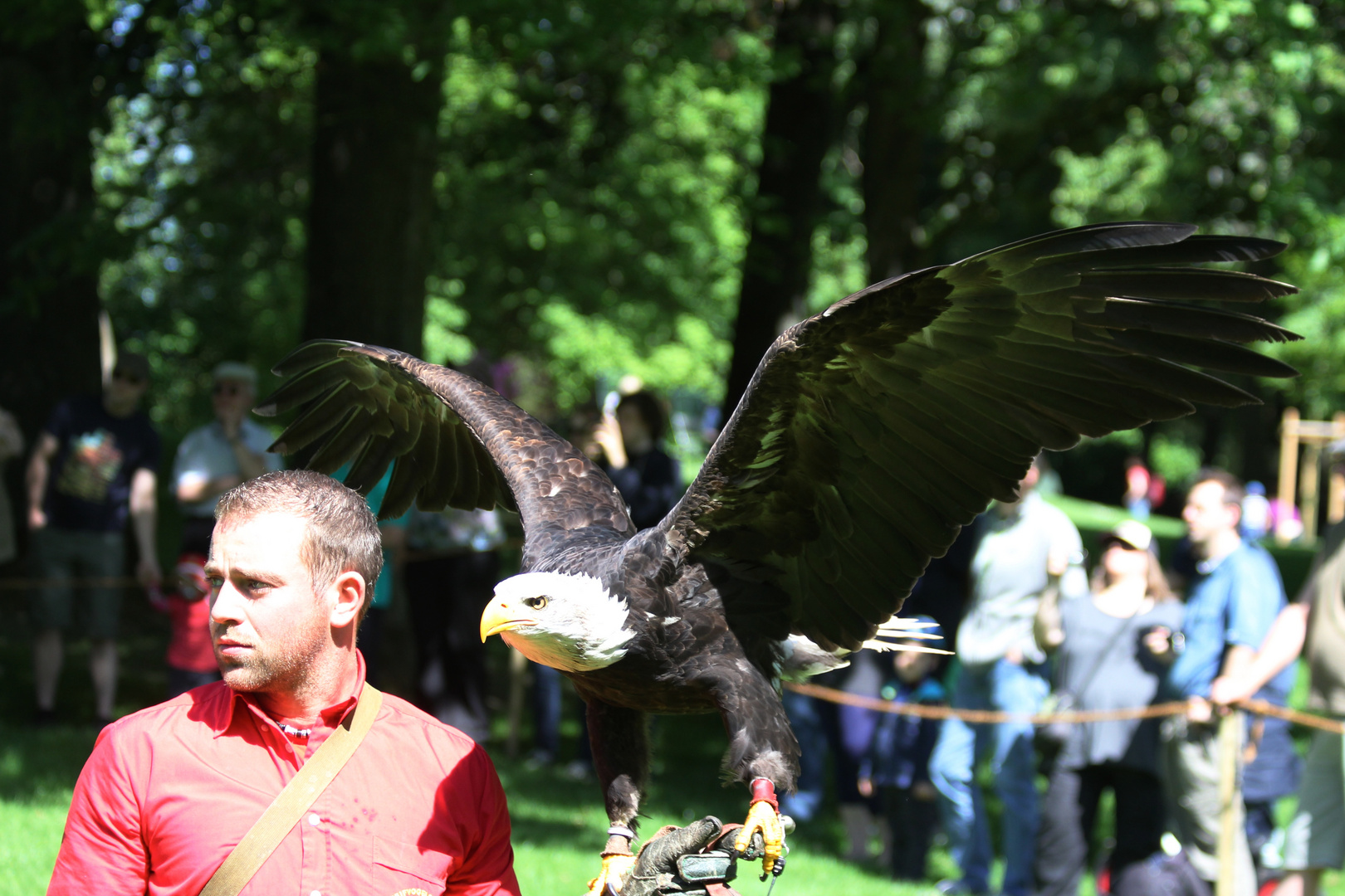 Und wann darf ich das erste Mal fliegen?