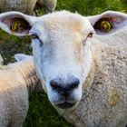 ... und was hörst du?