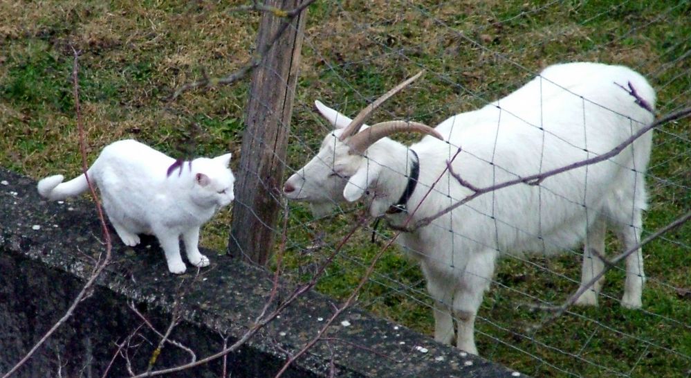 Und was macht Bianca in ihrer Freizeit? :) ...