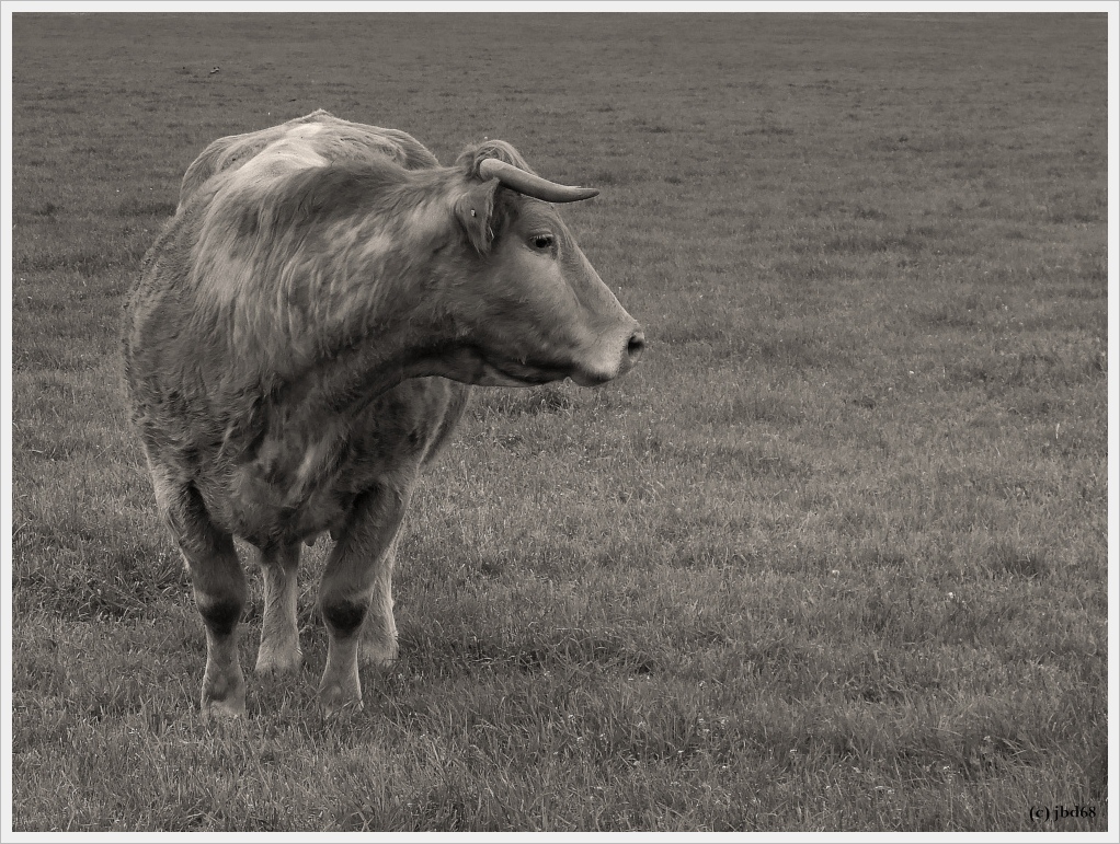 "Und was sagst Du dazu?"