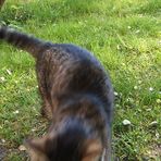 .....und weg war sie!